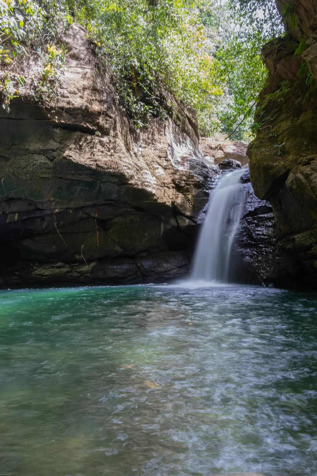 A waterfall and its pool seen from above, ringed by jungle